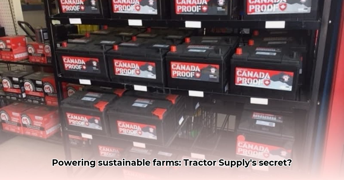 tractor-supply-car-battery